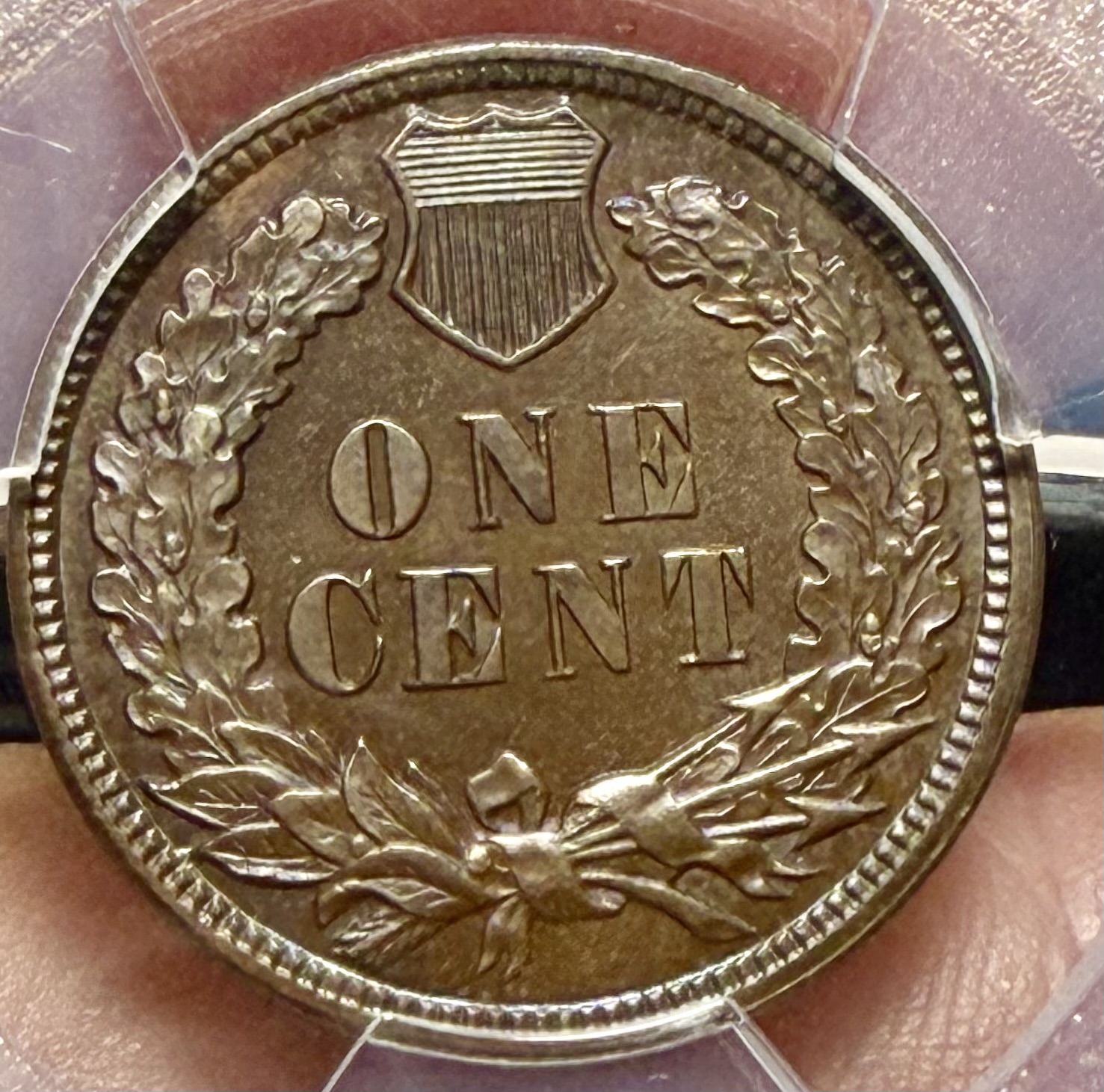 1887 PROOF INDIAN HEAD CENT view 3