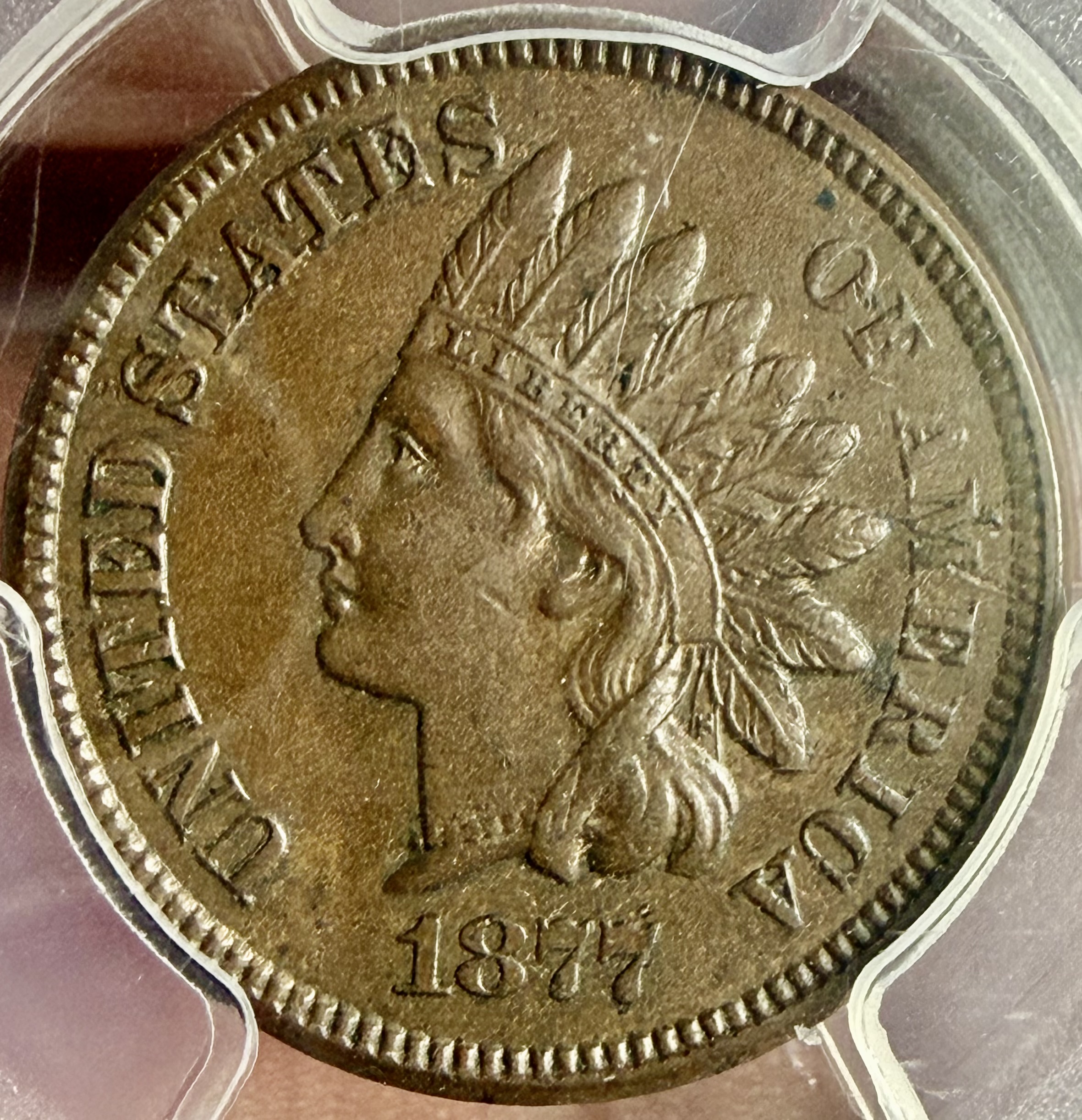 1877 MS63 BN CAC APPROVED  view 2