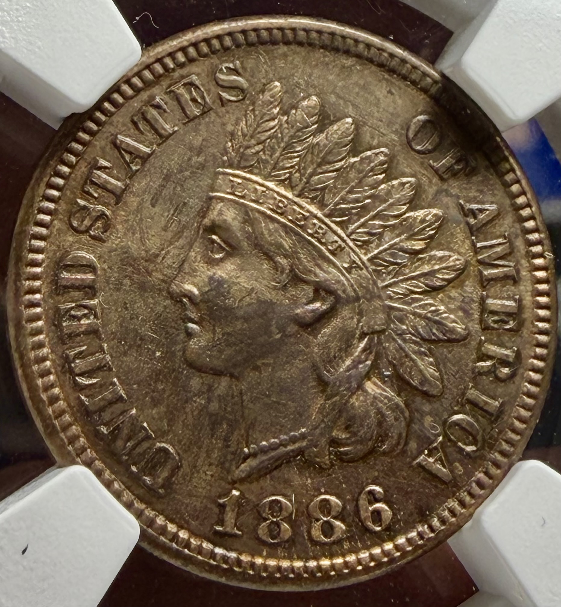 1886 PROOF INDIAN view 2