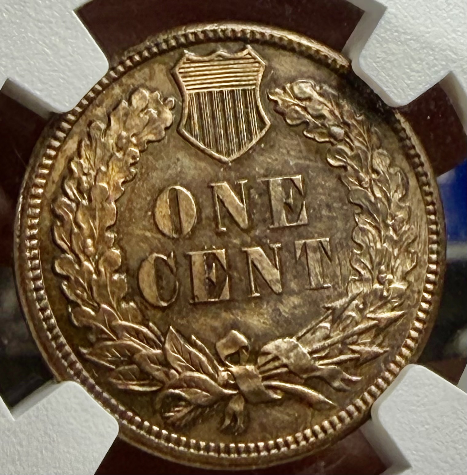 1886 PROOF INDIAN view 3