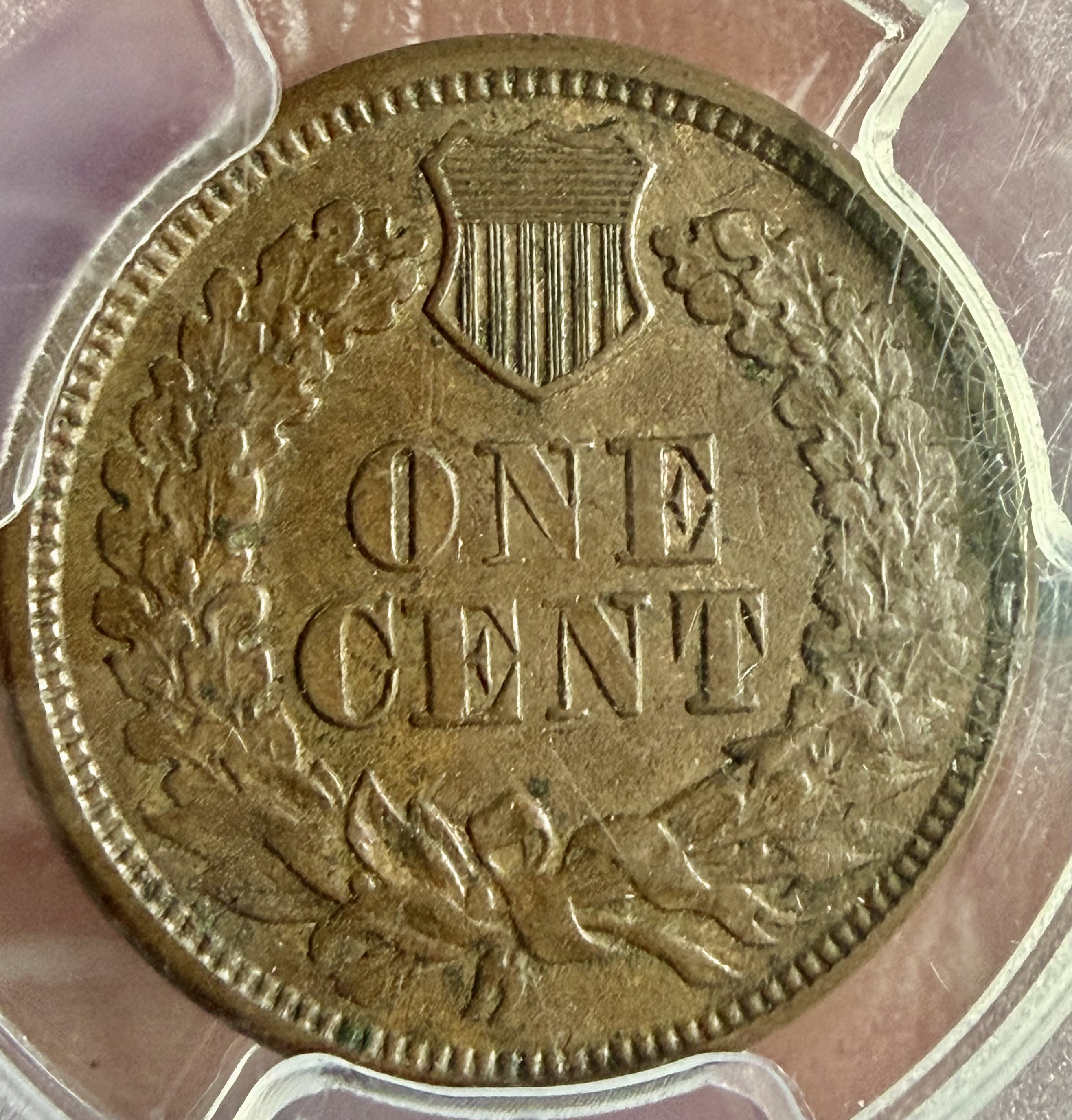 1877 MS63 BN CAC APPROVED  view 3