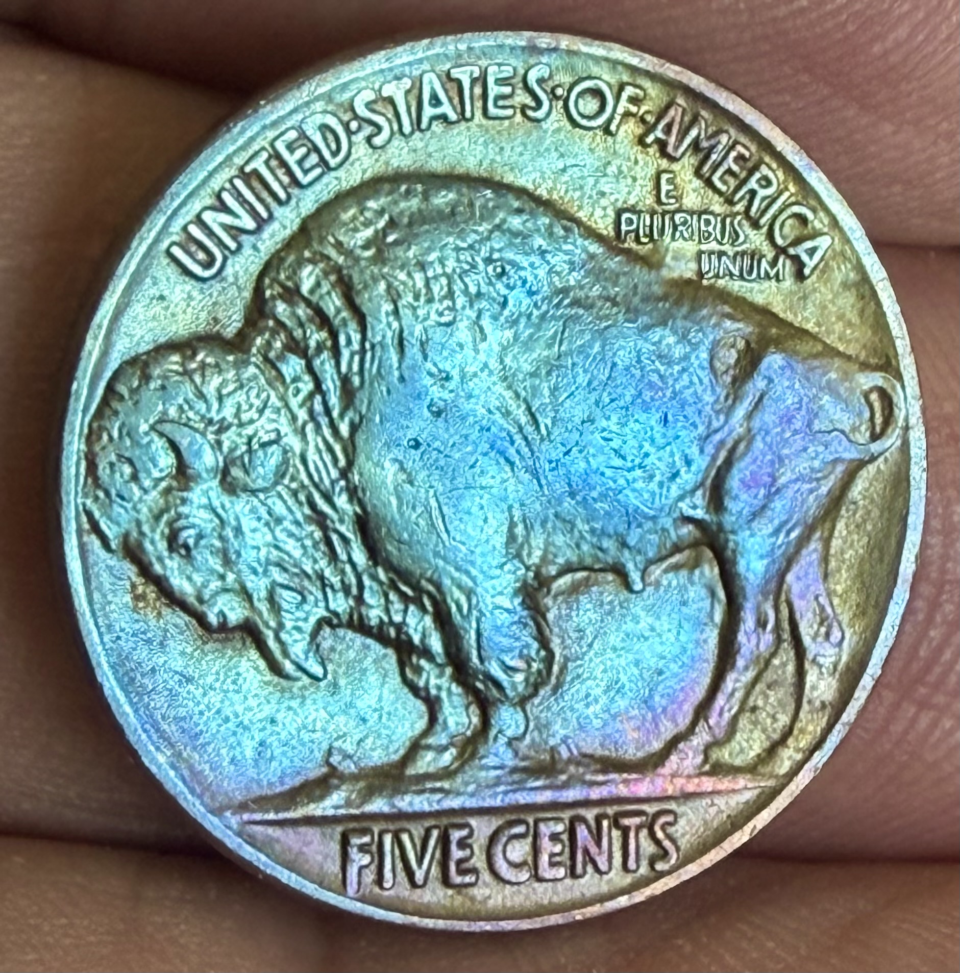 1919 BUFFALO NICKEL view 2