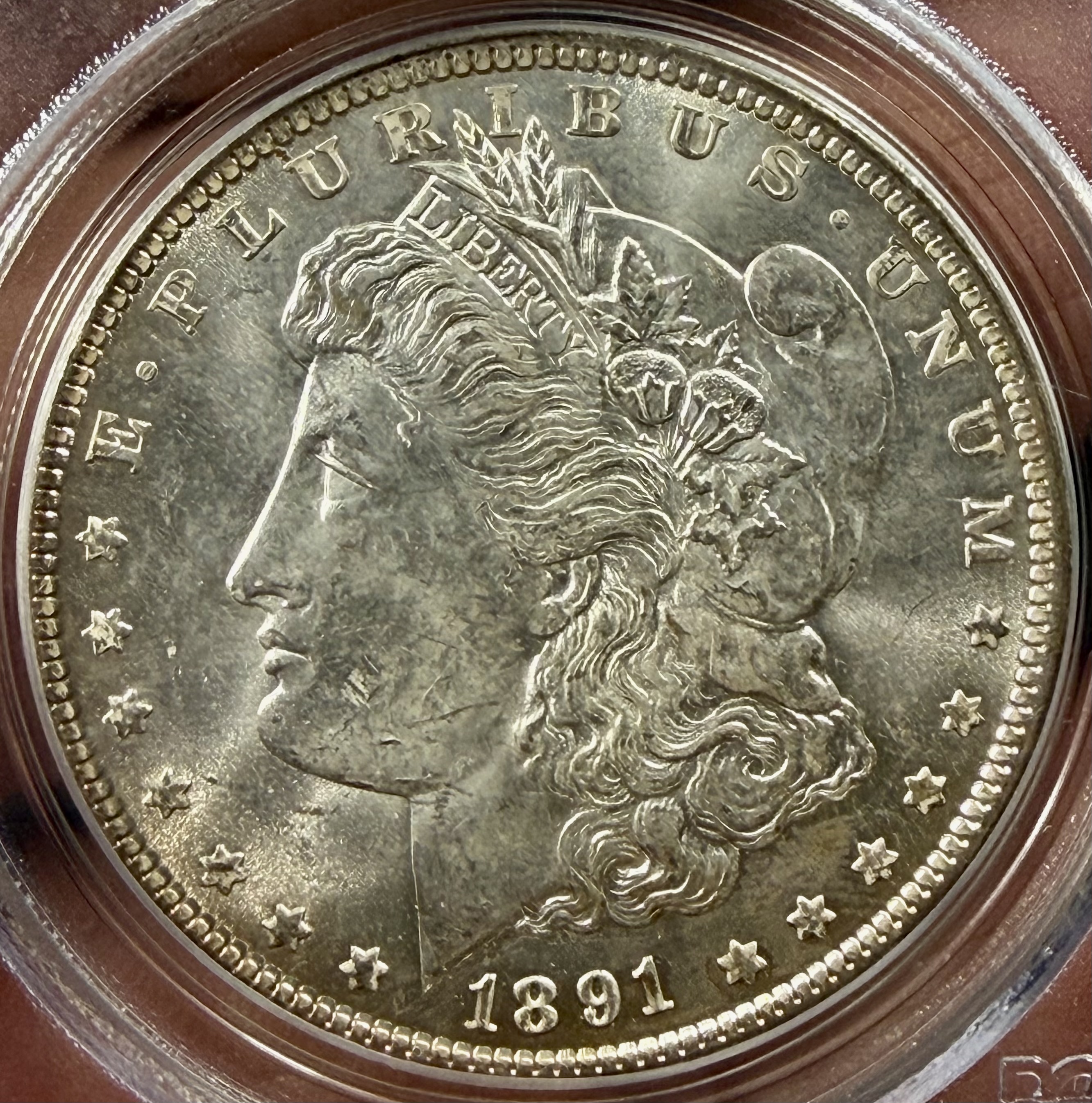 1891 MORGAN DOLLAR OGH view 2