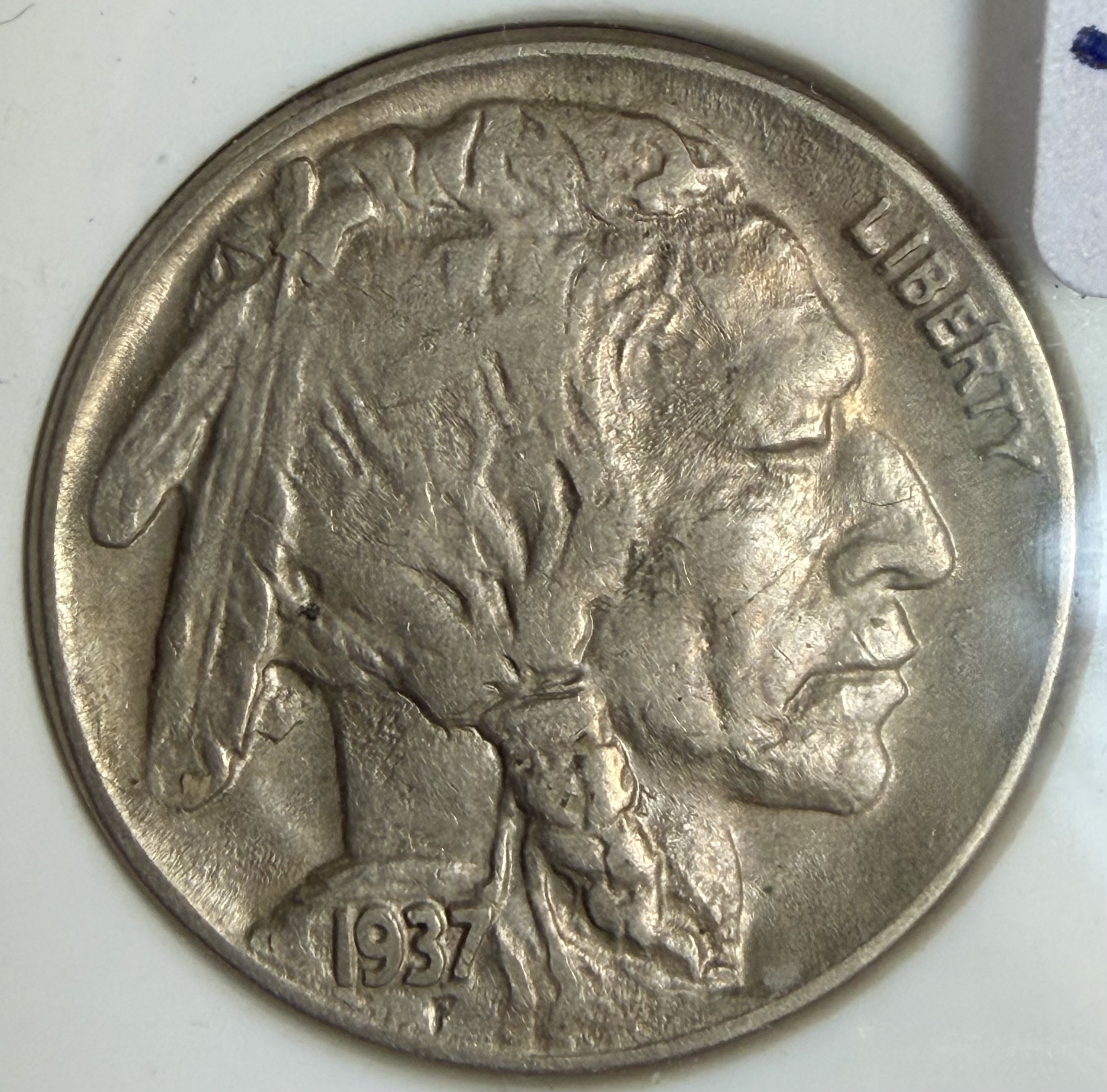 1937D THREE LEG BUFFALO  view 2