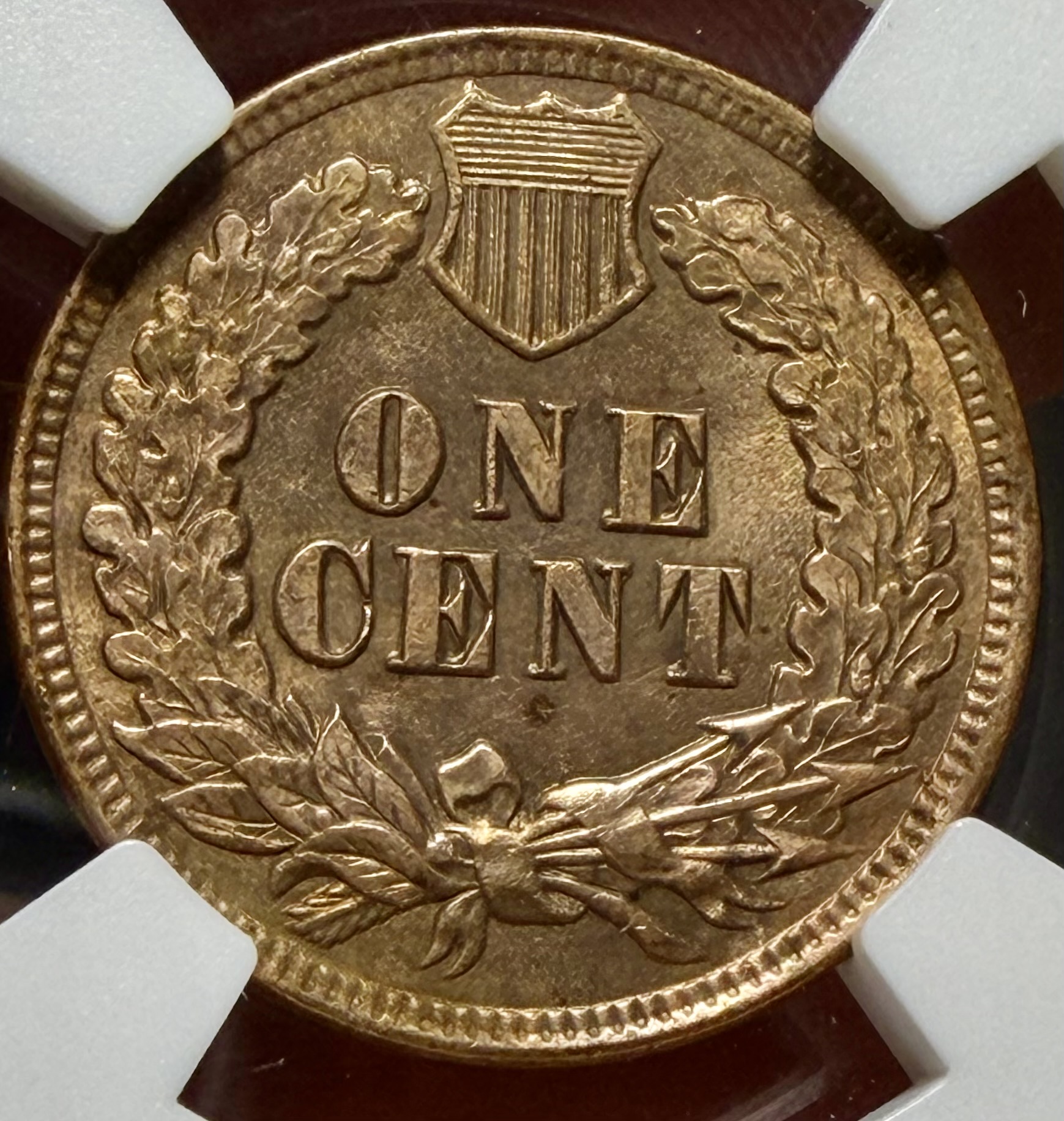 1903 INDIAN HEAD CENT view 3